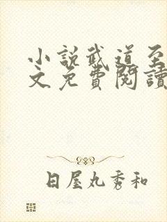 小说武道至尊全文免费阅读