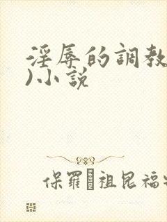 淫辱的调教(h)小说