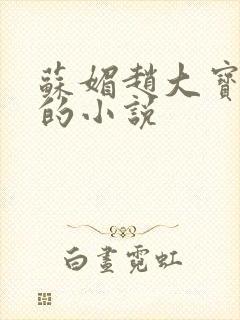 苏媚赵大宝赵勇的小说