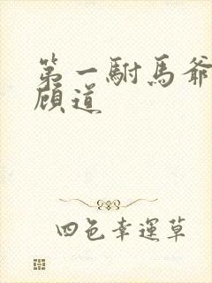 第一驸马爷短剧顾道