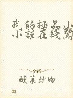 我的极品小姨 小说在线阅读