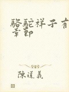 骆驼祥子有多少章节