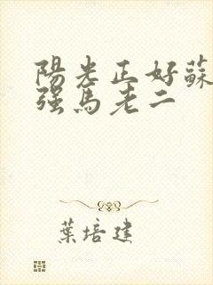 阳光正好苏玥马强马老二