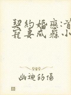 契约婚恋:首富宠妻成瘾小说