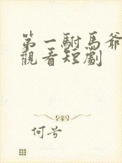 第一驸马爷免费观看短剧