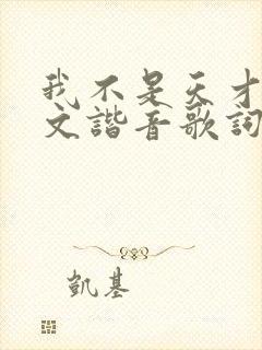 我不是天才吗中文谐音歌词