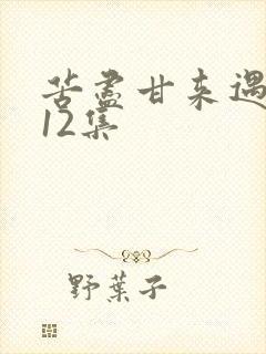 苦尽甘来遇见你12集