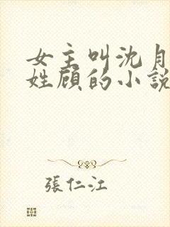 女主叫沈月男主姓顾的小说