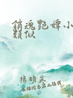 销魂艳婢小说相类似