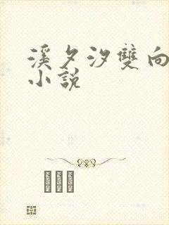 溪夕汐双向迷恋小说