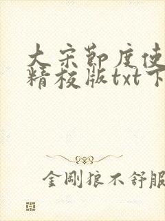 大宋节度使完本精校版txt下载