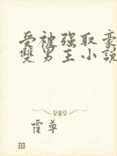 受被强取豪夺的双男主小说