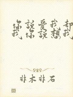 你说爱我却不陪我你说想我却不见我是什么歌