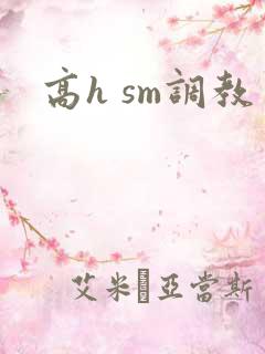 高h sm调教