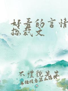 好看的言情小说总裁文