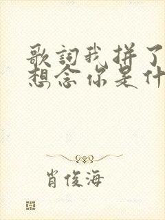 歌词我拼了命的想念你是什么歌名