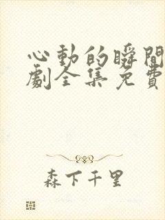 心动的瞬间电视剧全集免费观看