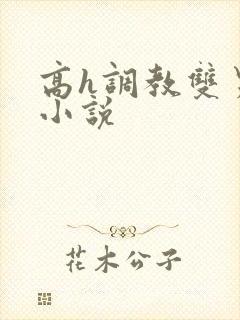 高h调教双男主小说