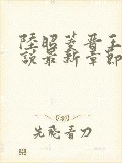 陆昭菱晋王的小说最新章节