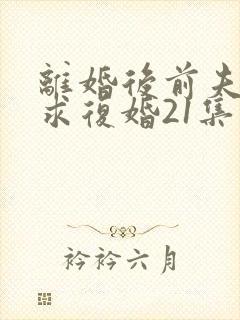 离婚后前夫哭着求复婚21集在线观看