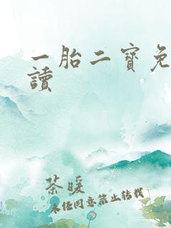 一胎二宝免费阅读