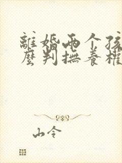 离婚两个孩子怎么判抚养权抚养费