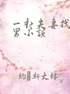 一对夫妻找单身男小说