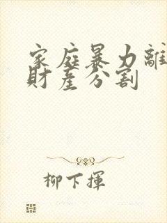 家庭暴力离婚后财产分割