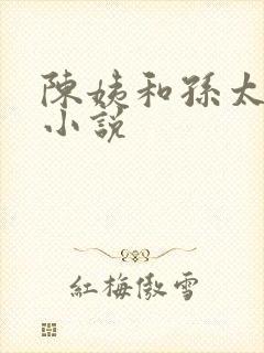 陈姨和孙太太的小说