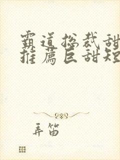 霸道总裁甜宠文推荐巨甜短篇