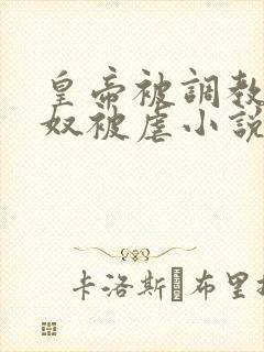 皇帝被调教成贱奴被虐小说