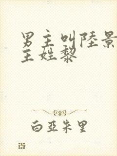 男主叫陆景琛女主姓黎