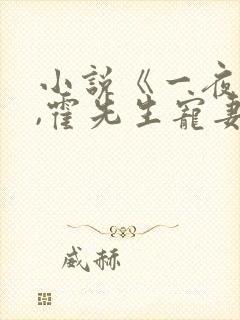 小说《一夜情深,霍先生宠妻无度》