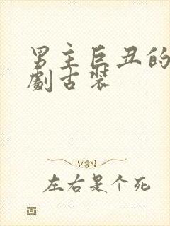 男主巨丑的电视剧古装