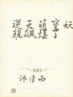 逆天萌宝妖妃娘亲飙爆了