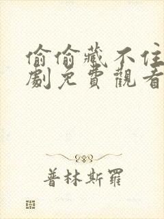 偷偷藏不住电视剧免费观看免费