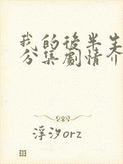 我的后半生剧情分集剧情介绍大结局