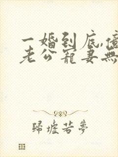 一婚到底,亿万老公宠妻无度