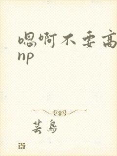 嗯啊不要高h np