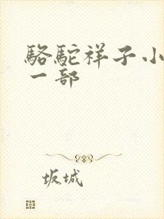 骆驼祥子小说第一部