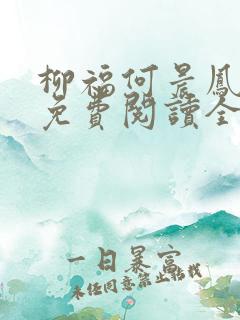 柳福何晨凤小说免费阅读全文