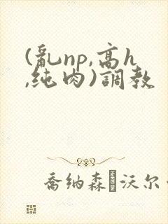 (乱np,高h,纯肉)调教