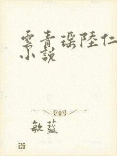 云青瑶陆仁全文小说