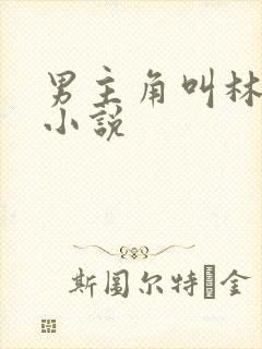 男主角叫林川的小说