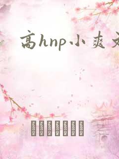 高hnp小爽文