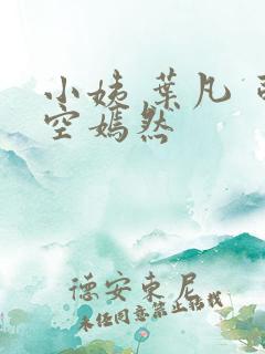 小姨 叶凡 司空嫣然