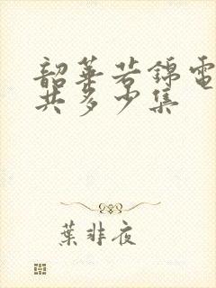 韶华若锦电视剧共多少集