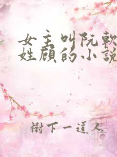 女主叫阮软男主姓顾的小说