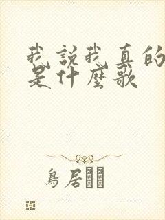 我说我真的爱你是什么歌