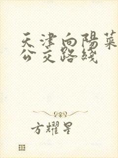 天津向阳菜市场公交路线